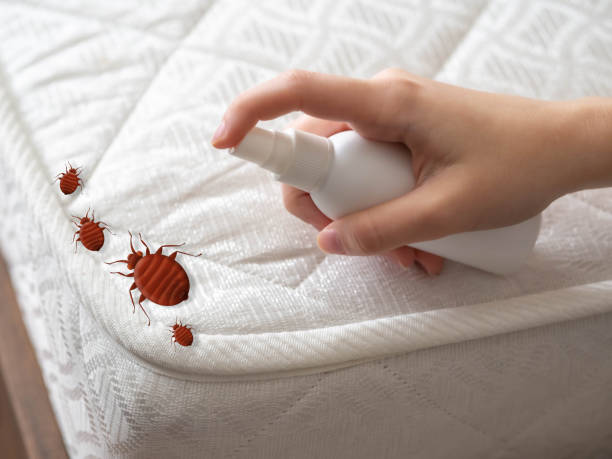 Emergency Pest Control Services in Fordyce, AR